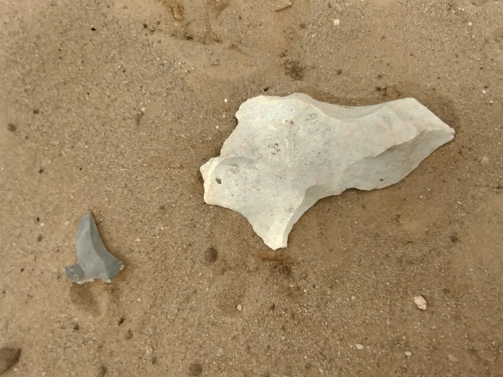 slagtekniv fra den tidlige bondestenalder - før bådøkse & bronze 2.700 fkr, og jern 1.100 fkr.
