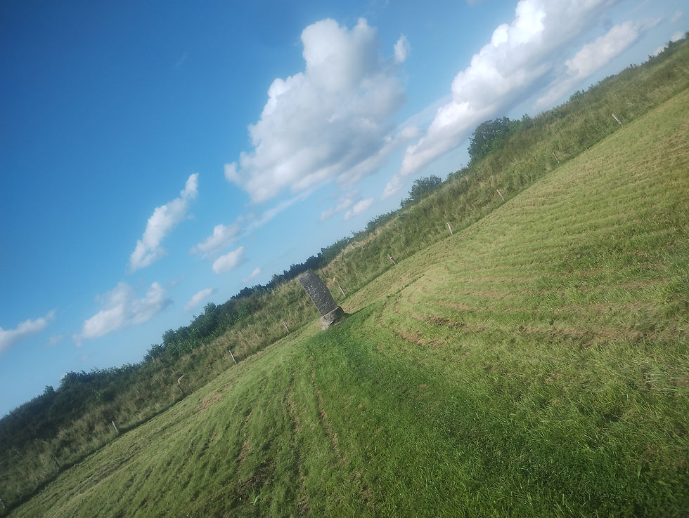 the last stronghold of the pre-christian, socalled pagan livonia, before they were subdued by the livonian brotherhood.