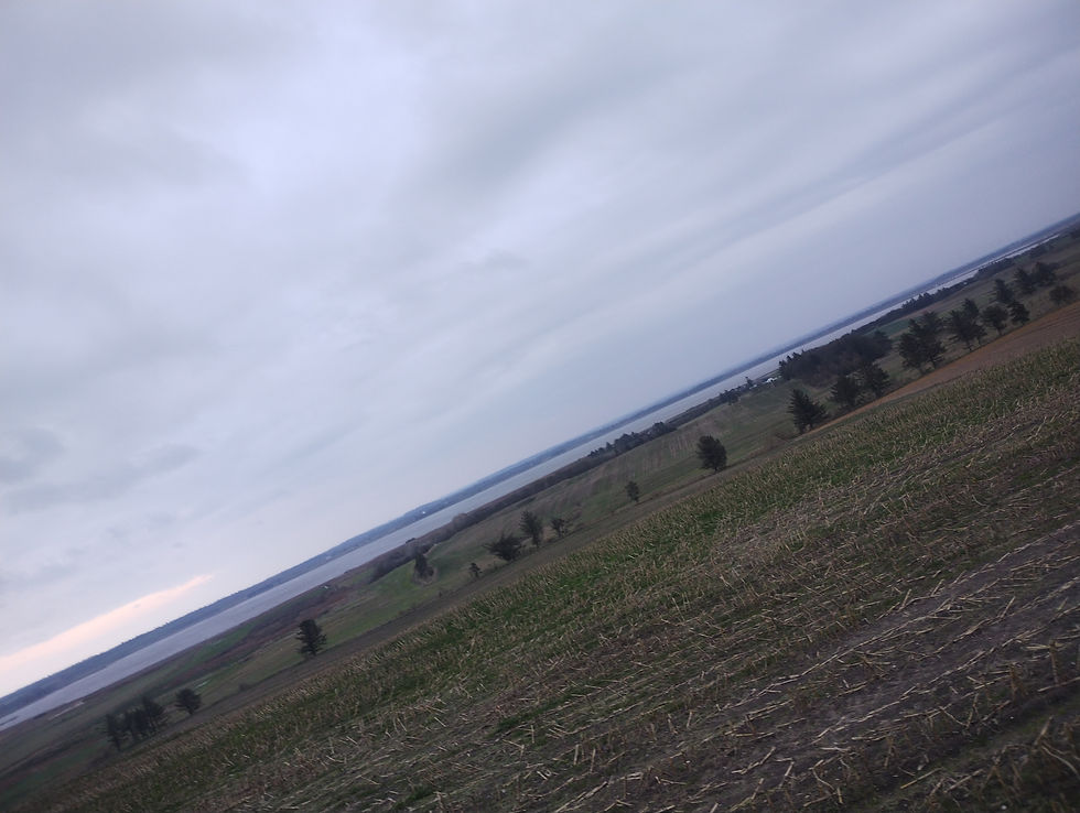 men jeg når ikke udsigten fra bjerget før dagen efter - her mandag eftermiddag, hvor man ser den lavt-liggende lund fjord.