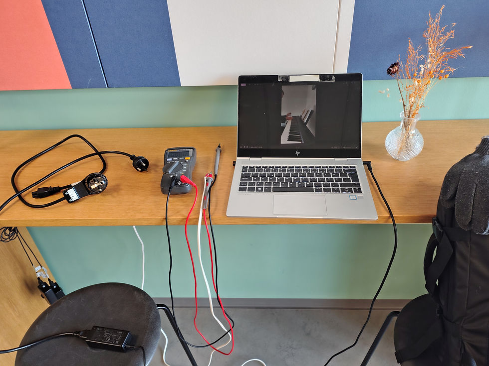 fortsætter fejlfindingen på de 3-4 somatiske sygdomme, som hverken lægen eller skejby kunne identificere, før bedrageriet -