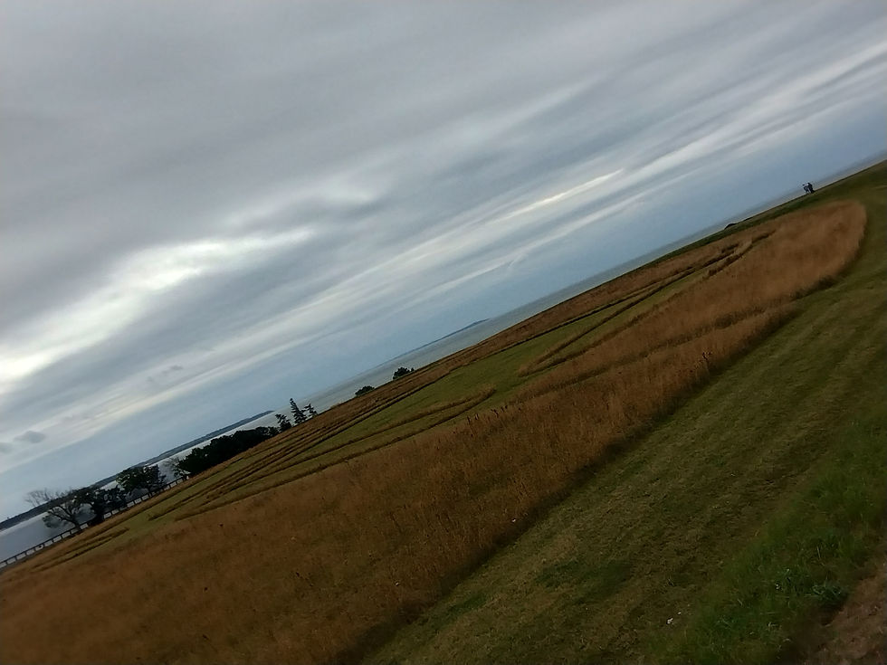 aggersborg, hvor jern-alderen fra 1.100 fkr, etablerer parallel-samfund ifa hillfort, ved siden af alle de gamle bo-pladser.