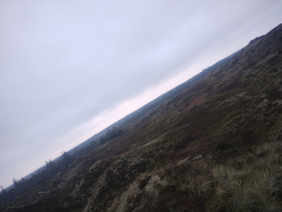 jeg opdager så, at området mellem bulbjergvej & ellidsbølvej, er meget lavbundet, og at en panamax-sluse let kan anlægges.