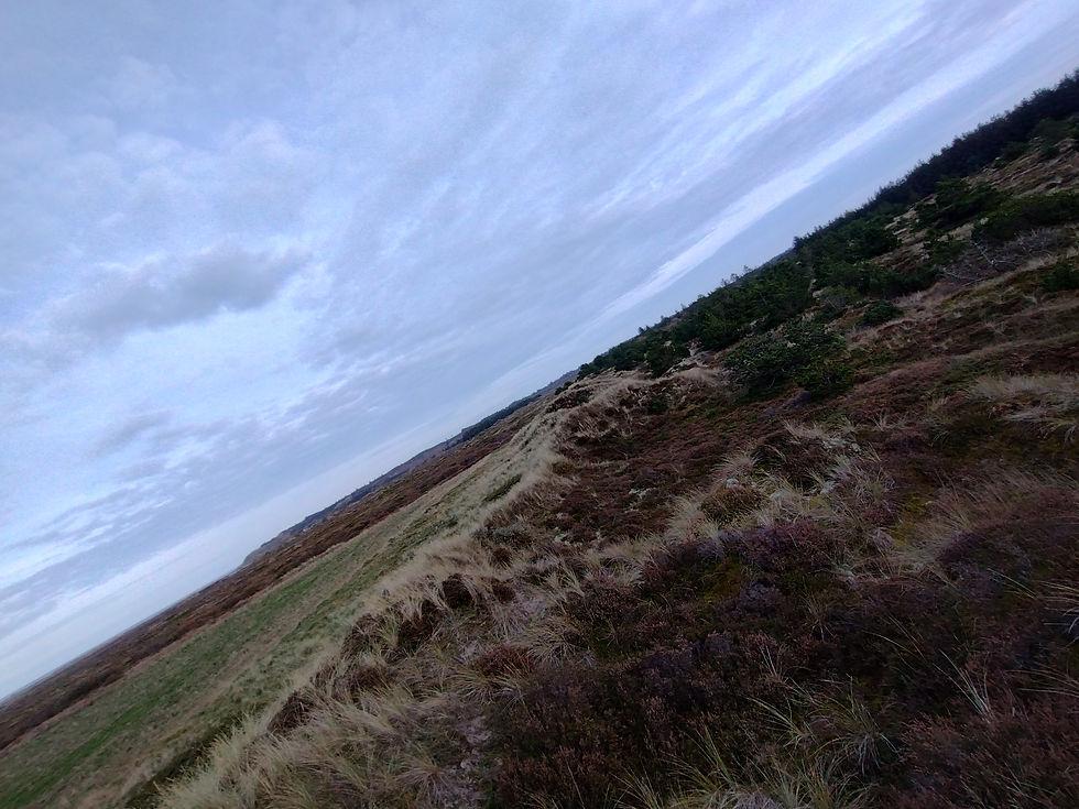 dermed kan de besøgende selv undersøge den uberørte natur, side om side med hver enkelte lods-ejers kultiverede landskab.
