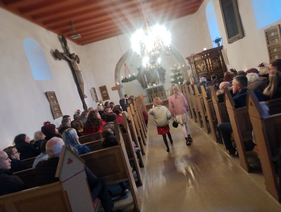 frieserne er en meget gen-stridig æt, og det tog flere hundrede år, før oldenburg havde hakket dem i to, og gennet dem i kirke. i oldenburg hed de frederik & christian - og efter frieser-land, begyndte de forfra med kalmar-unionen, via ribe-brevet i 1458.