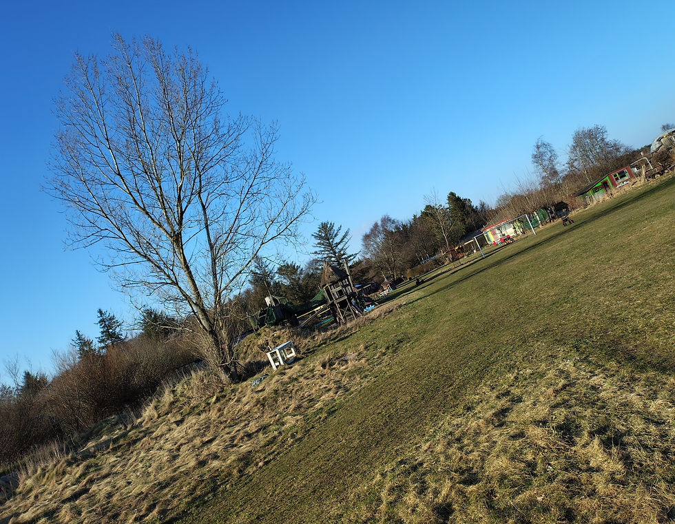 på vej hjem eftersøges frøstrup-lejren for rams-løg, til vores påske-lamme-skank, og vi besigtiger den alternative bygge-stil.