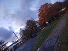 valgkampagne uge 44. 4 mul-dyr, 3 blå-kvæg & en gammel roe-mand var enige i, at den gamle jernbane-linie fra ålborg til thisted, er som skabt til højderyggen - og skovsgaard gav valg-flæsk.