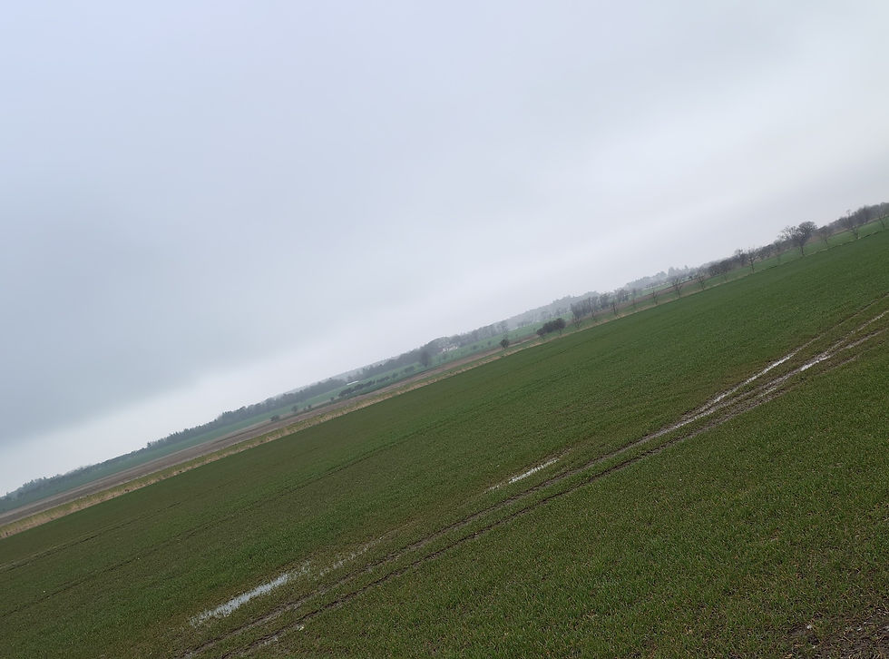 jeg dokumenterer den nye produktions-enhed, som stille & roligt voksede frem, samtidig med folkevandrings-tiden begyndte.