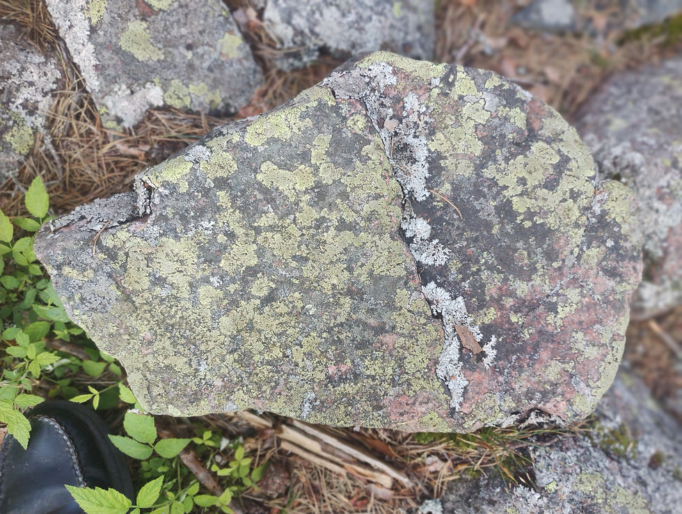 flere blodsten - den grønne størknede farve, eller visse mos-typer, vokser på både slagte & henrettelses-pladserne.