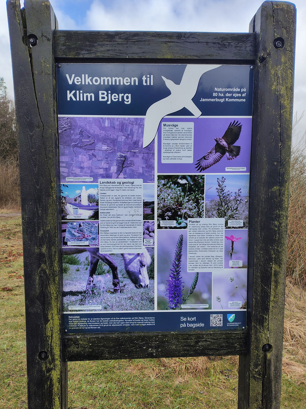 limfjorden var dengang et ø-hav, ligesom sveriges upland - de 600 km botniske lavbugts kyst, nord for stockholm & helsinki.