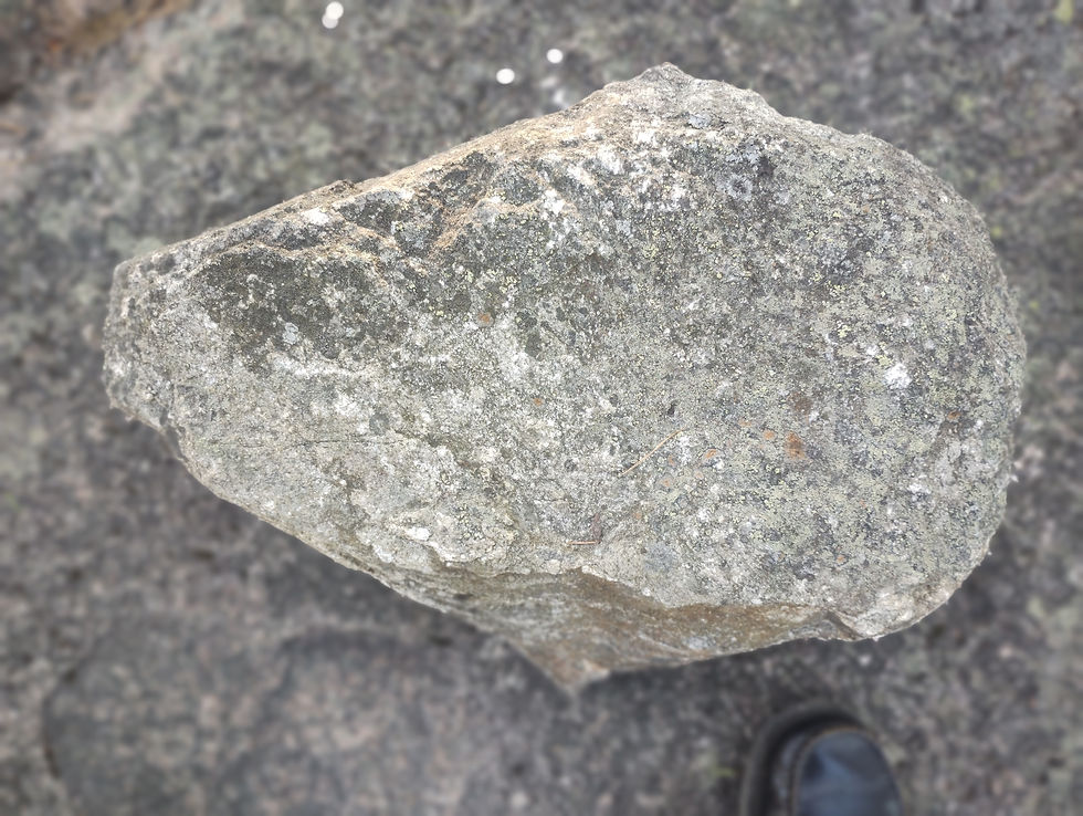 økse fra før bonde-sten-alderen, båd-økse-kulturen & bronze-alderen. der findes stadig woodland giants i svea skogene.