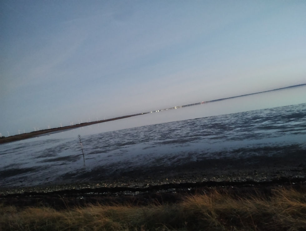 løgstør set fra ålborgvej & alvej. I mariager fjord har de så stort problem med ilt-svind, at slis-gårde skal anlægges i fjorden, hvormed slam-bunden kan pumpes til slis-gård, hvorefter vel-egnede plante-vækster etableres, så disse lavbundede slisgårde, kan fungere som både op-samling, dyre-reservat & fåre-fold. det samme kan man overveje i de lave områder af limfjorden, hvor flydesand & slambund udgør en trussel for hav-miljøet – og panamax-kanalen skal fungere som en storm flods sikring.