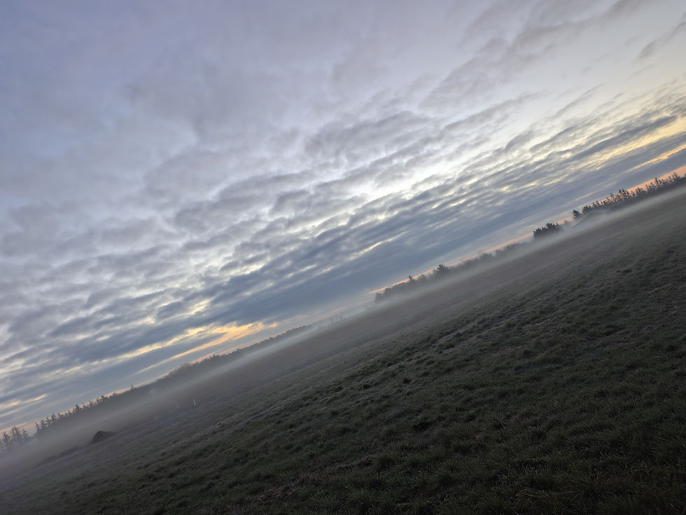jeg bruger hele natten på, at fri til min evangeliske dronning, men hun er for gammel & træt - og hendes datter er alt for ung -