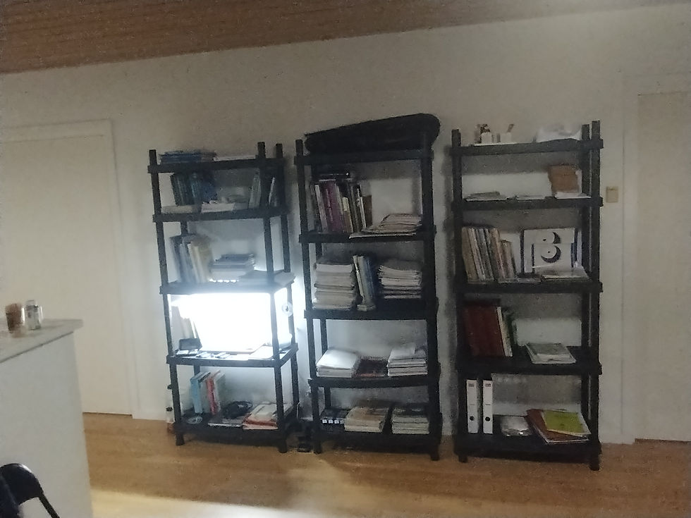 bevægelses & røg-alarm fra verisure, sikrer virksomhedens lager, når vi er ude af huset.