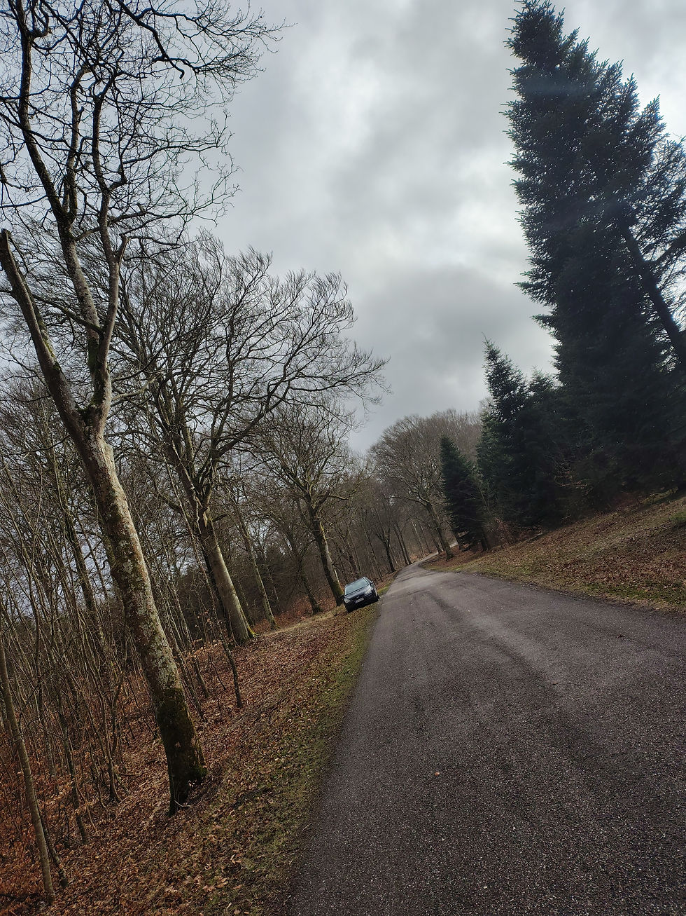 jeg glemte at tagge min bil på google earth / google map, så det blev til lidt af en detour, før nightrider triller mig hjem.