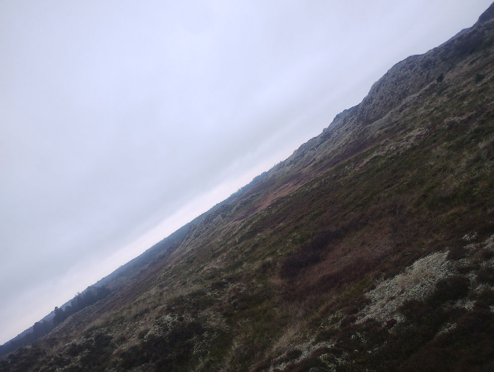 hele natur-området vil også bevares, da en panamax & udslusnings-kanal, kun er 20-30 meter bred - og her er der 2 til 3 km.