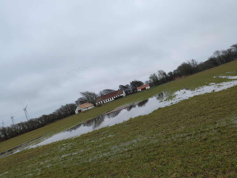 det synes hun nok var sjovt - og da både hun & hendes mand, er gået til cabin crew, siden de forlod reden for de evige studier,