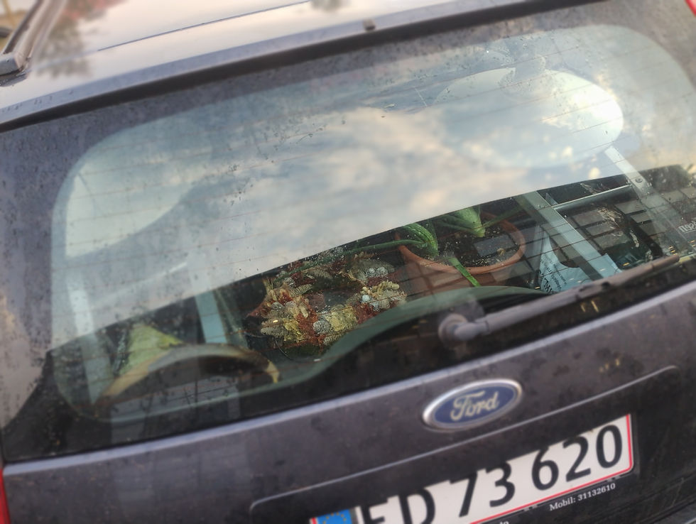 de sidste par småting kunne lige være der efter udflytnings-synet i odder mandag lidt efter 12.00.