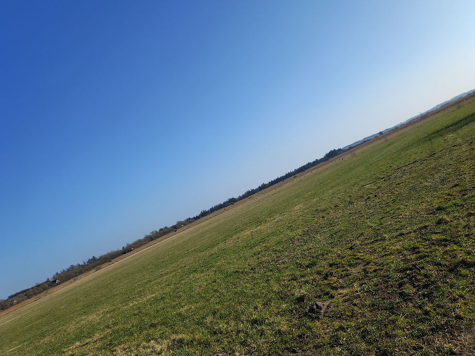 derefter øver min forhandlings-partner køre-egenskaberne på de små grus-veje rundt om vejlerne, hvor politiet aldrig kommer.