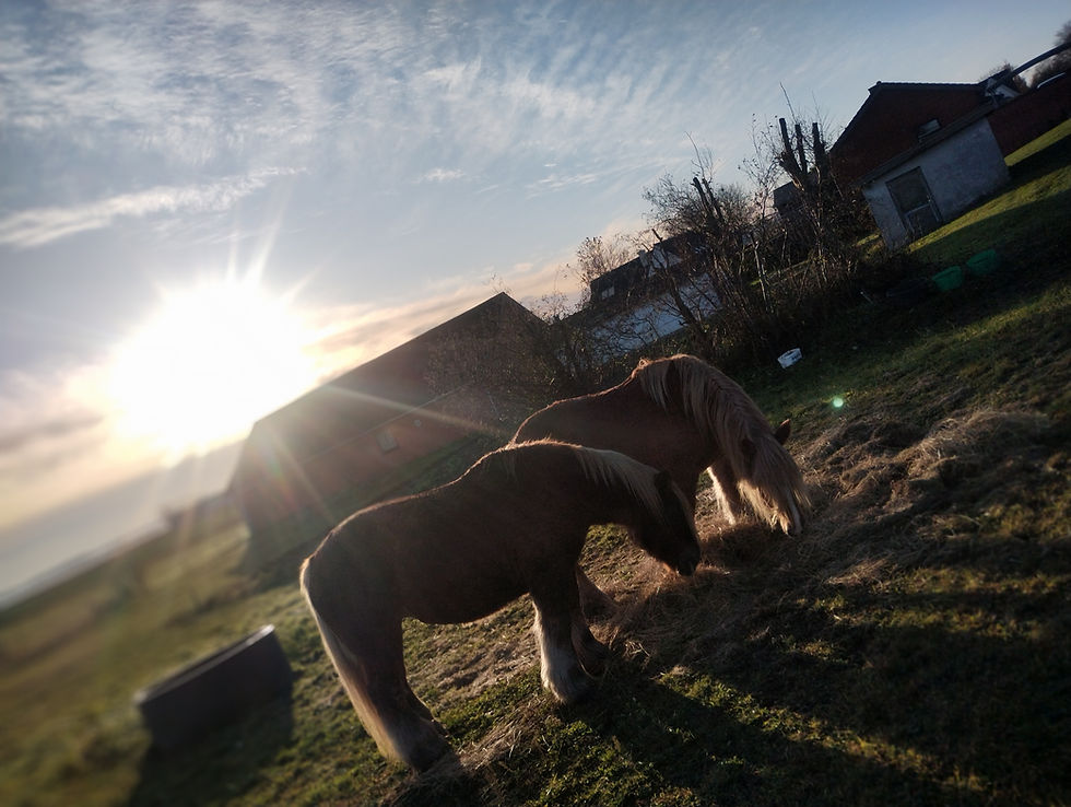 jeg kan lige-så-godt indstille mig på et meget lang-trukkent forhandlings-møde, før situationen muligvis forløser sig.