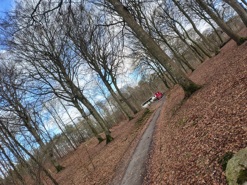 men der var også en stor militær-øvelse, hvor et kompagni skulle cleare området for snipere - uden en vel-trænet leder.
