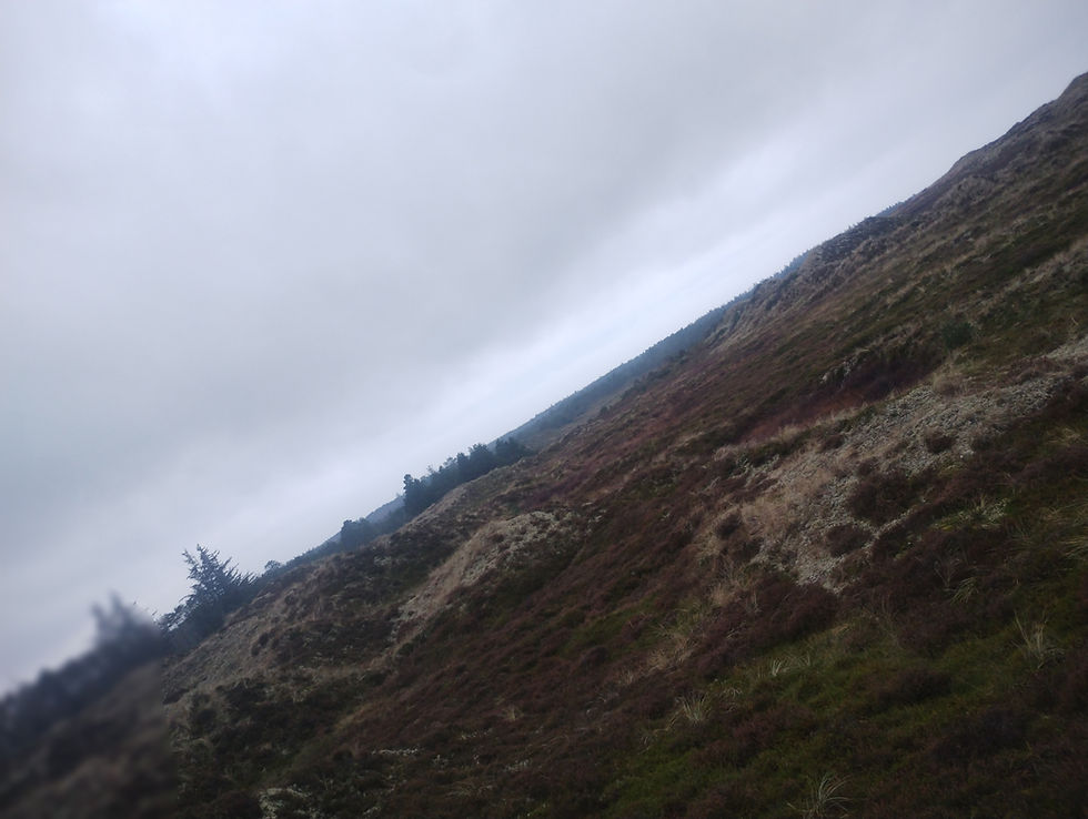 jeg må overtale night rider til, at holde lav profil i lysningen, og snige mig ud til fods, efter en udkørsel uden troldefars bom.