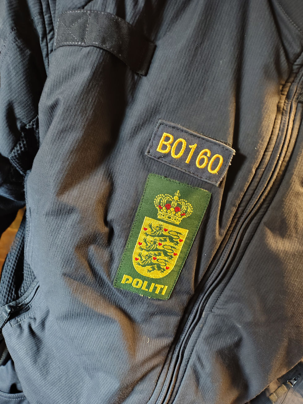 til søndagens gudstjeneste i hjortdal, gentager jørgen bjerregaard fra kd sin orangutang, og tilkalder politiet, som fjerner mig.