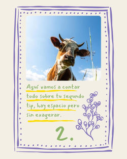 TIPS AESTHETIC3