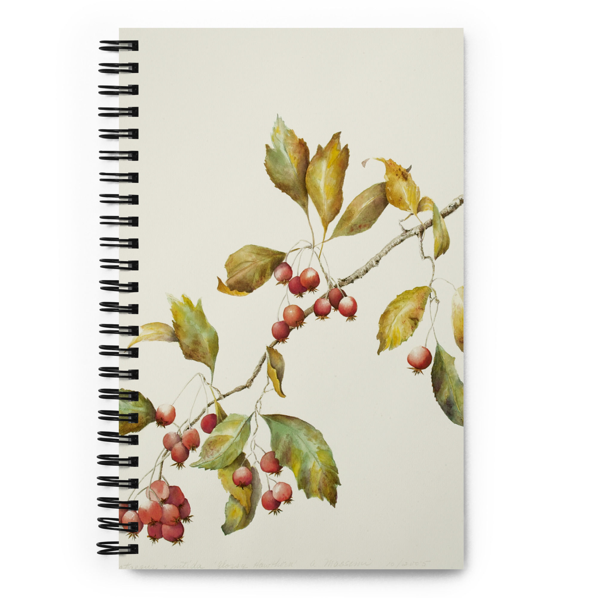 Hawthorne Spiral Notebook | Botanical Journal