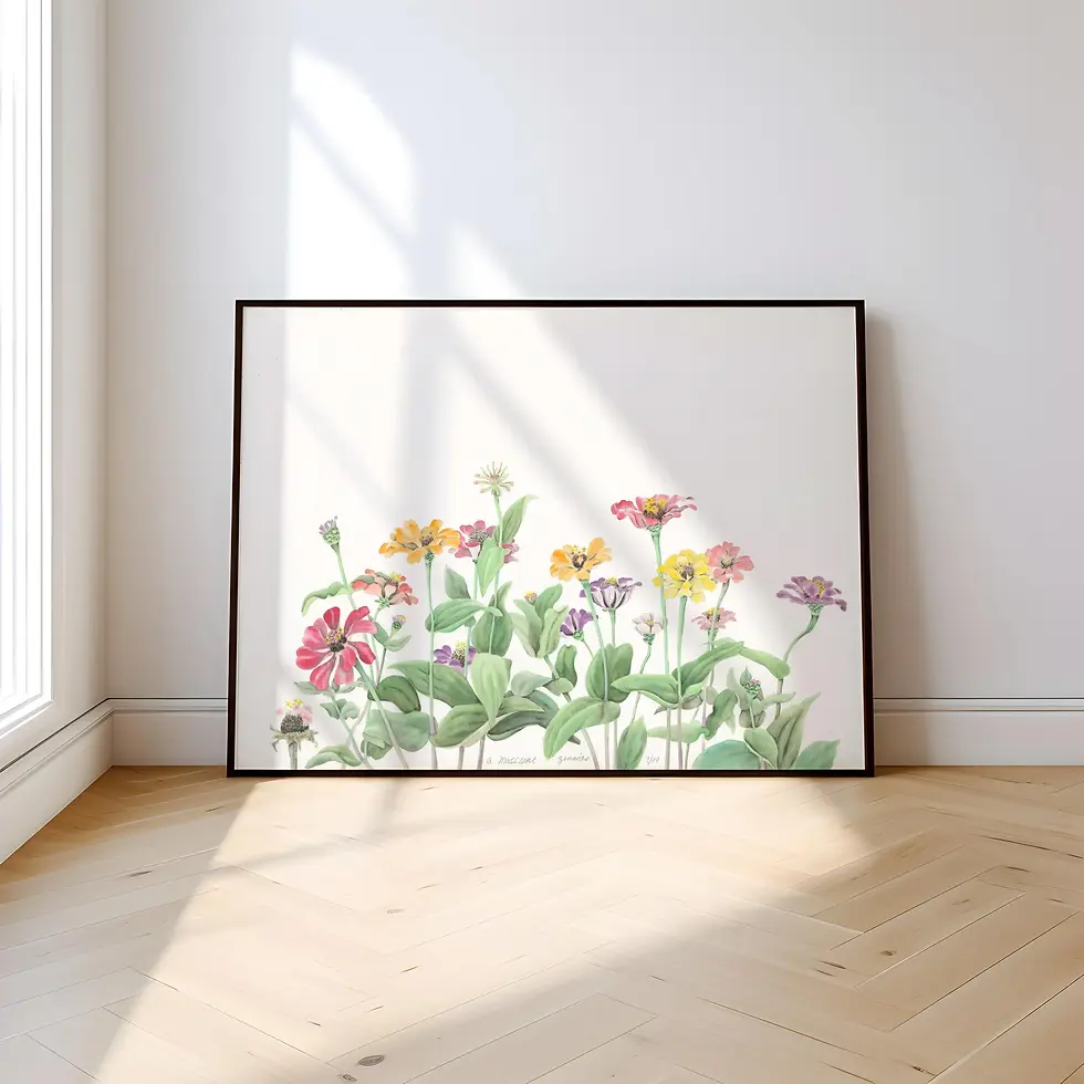 Thumbnail: Zinnias Botanical Framed Print | Watercolor Floral Wall Art