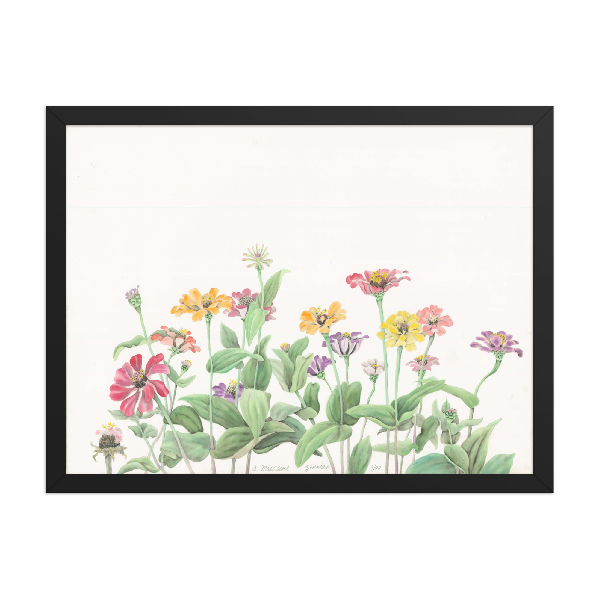 Zinnias Botanical Framed Print | Watercolor Floral Wall Art