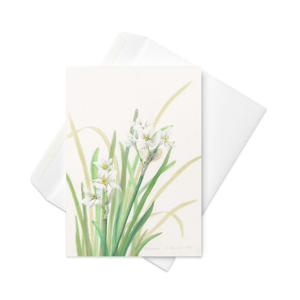 Thumbnail: Botanical Watercolor Narcissus Card | White Daffodil Spring Floral Stationery