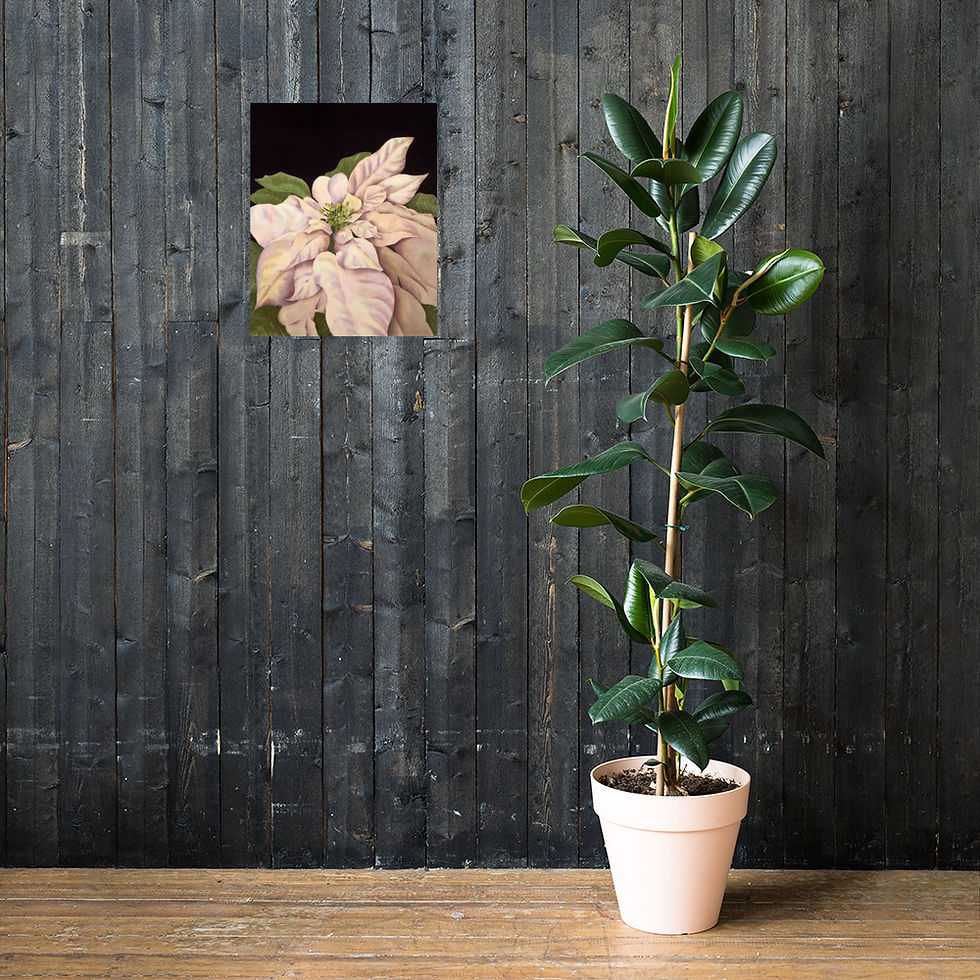 Thumbnail: Ivory Poinsettia Floral Print | Elegant Botanical Watercolor Poster