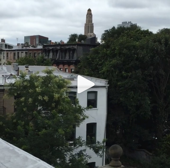 Roof Garden Views