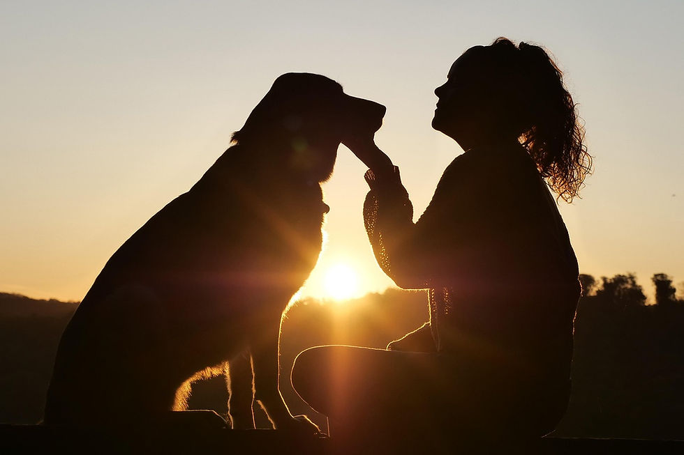 Hund und Mensch bei Sonnenuntergang