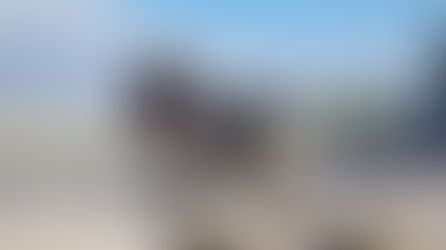 Hjälp sökes - Utställning Örebro 9:e maj