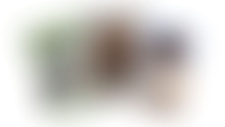 SCHAPPISNYTT - Nr 1 2025 ute nu!