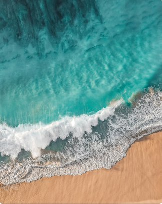 Ocean Rights Collective