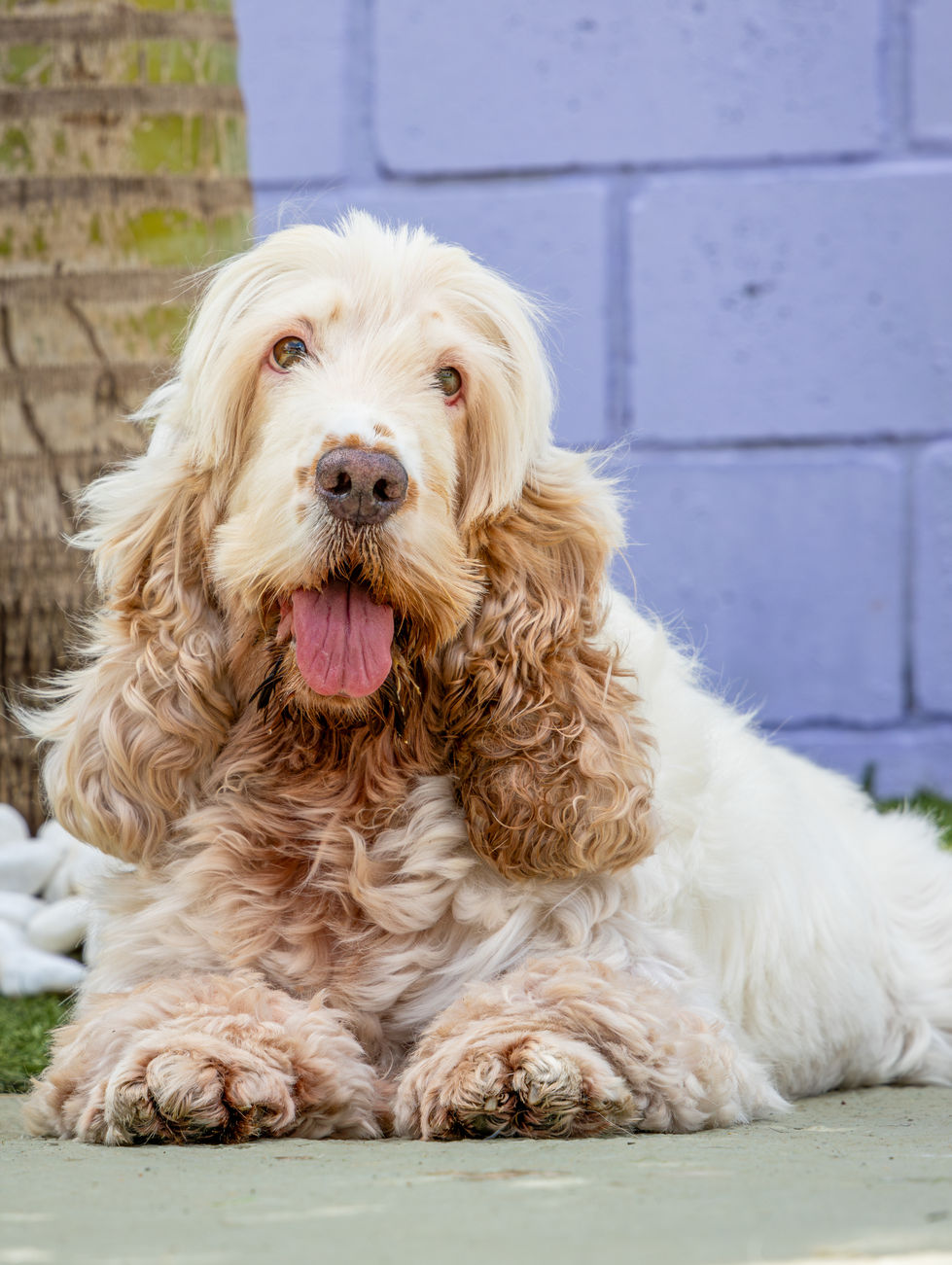 01122024-01122024-LMN_8568-Aprimorado-NR