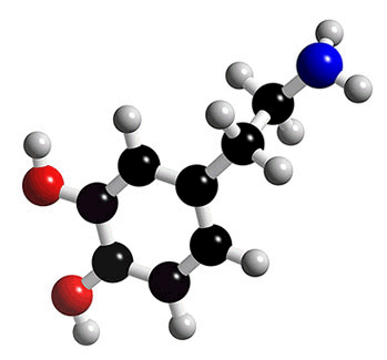 Molecular structure of Dopamine
