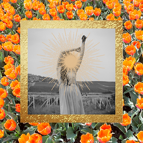 Untitled design (2).png