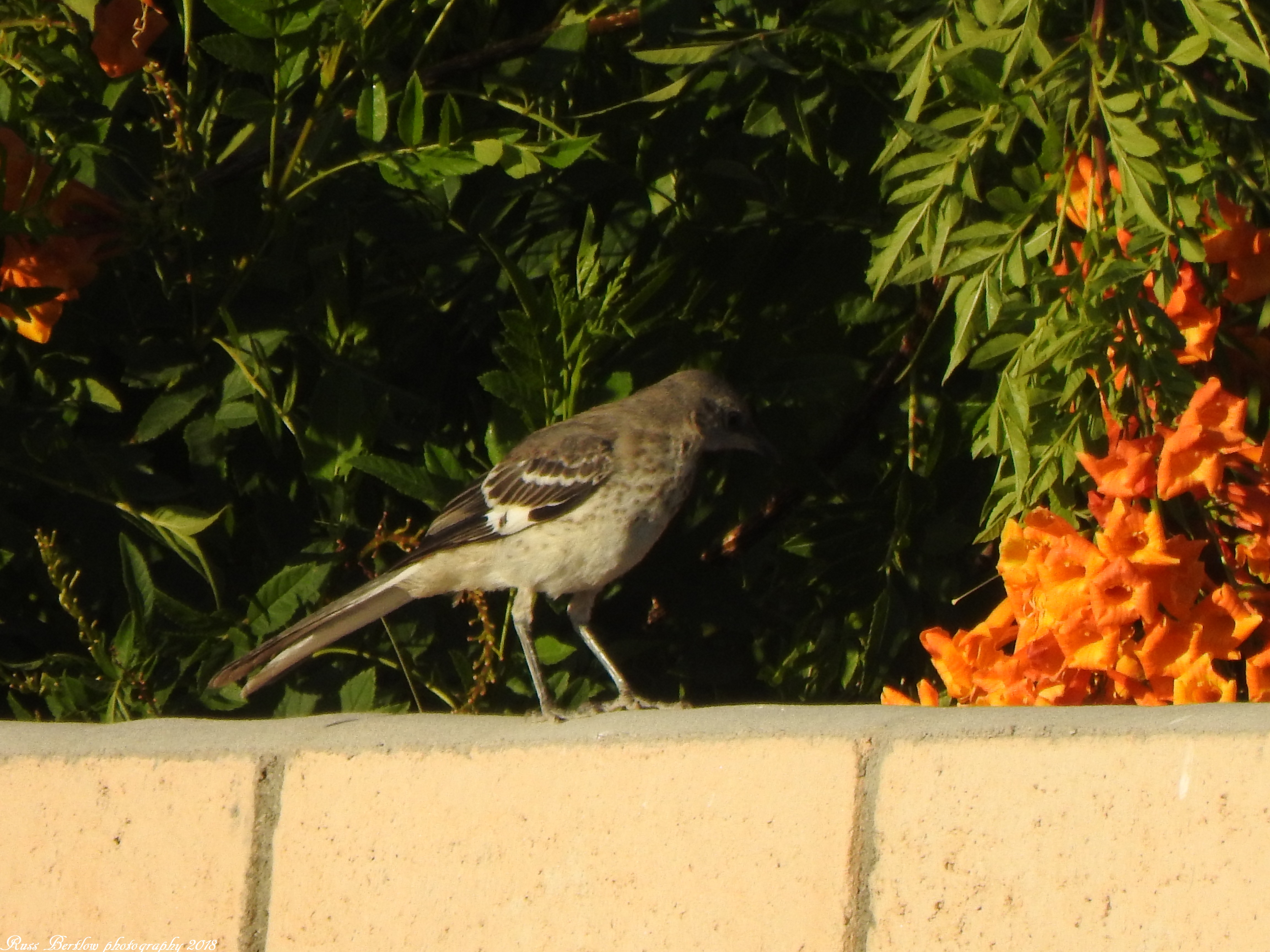 DSCN0735