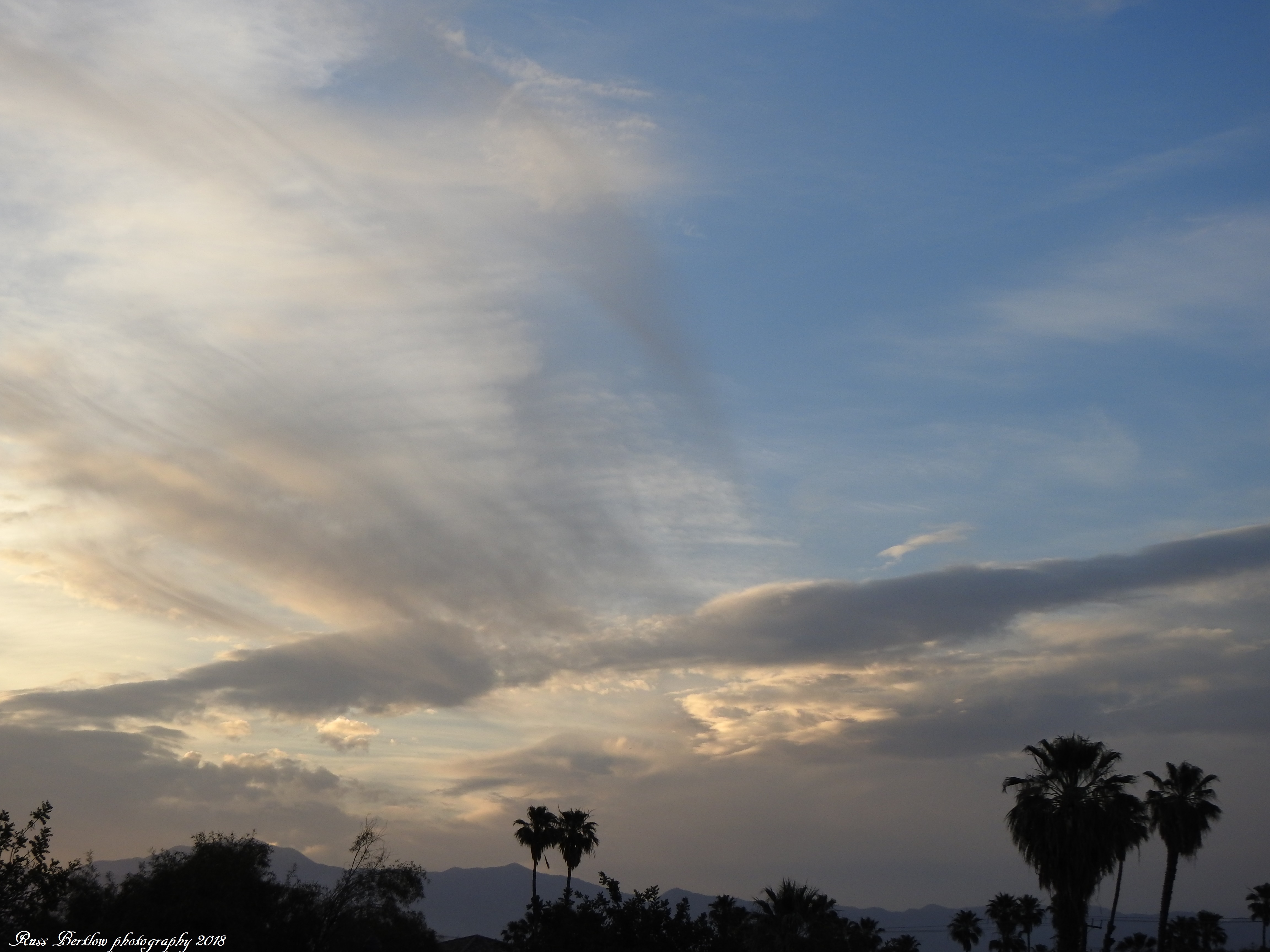 Angel Wings