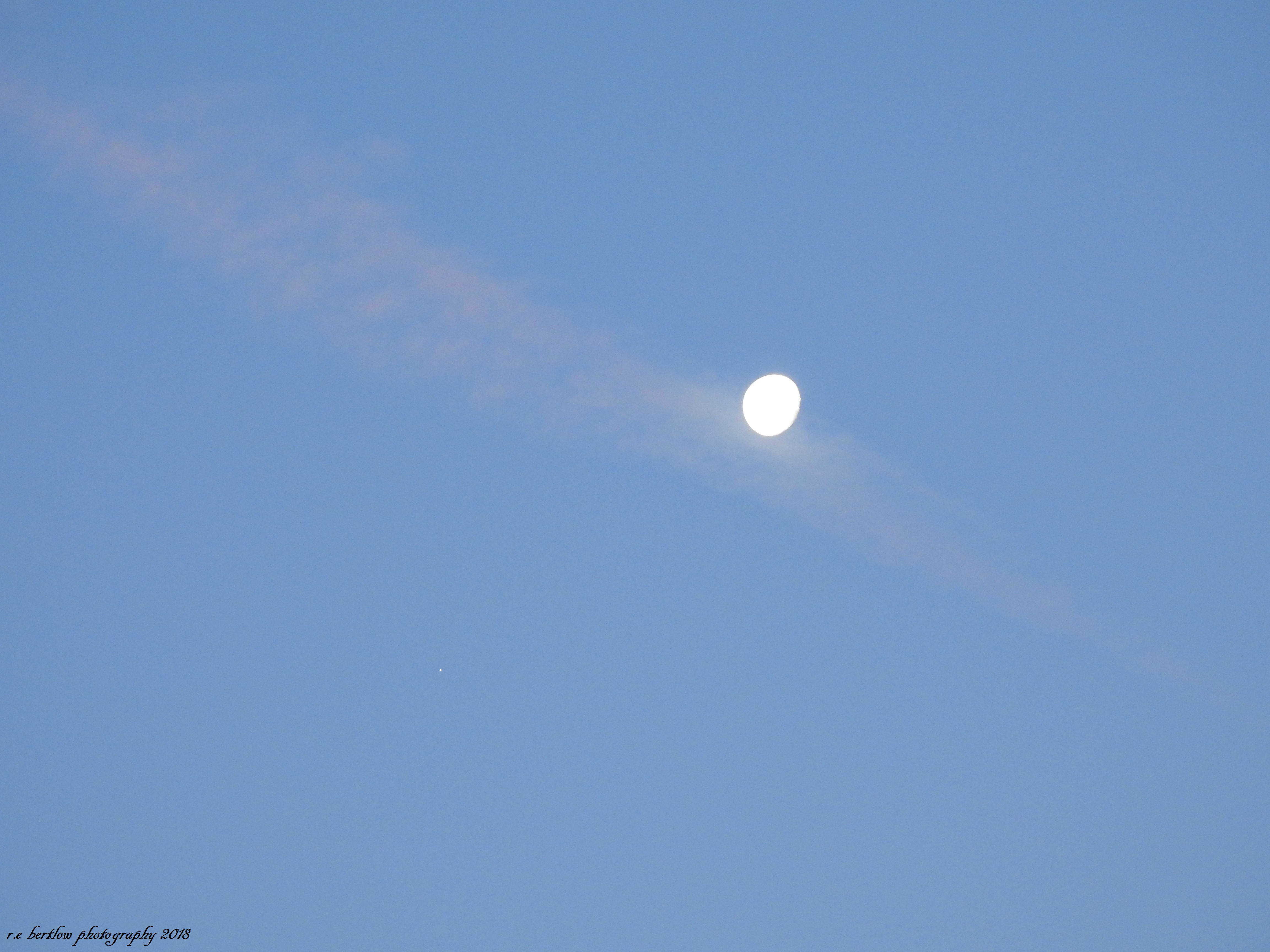 DSCN2948
