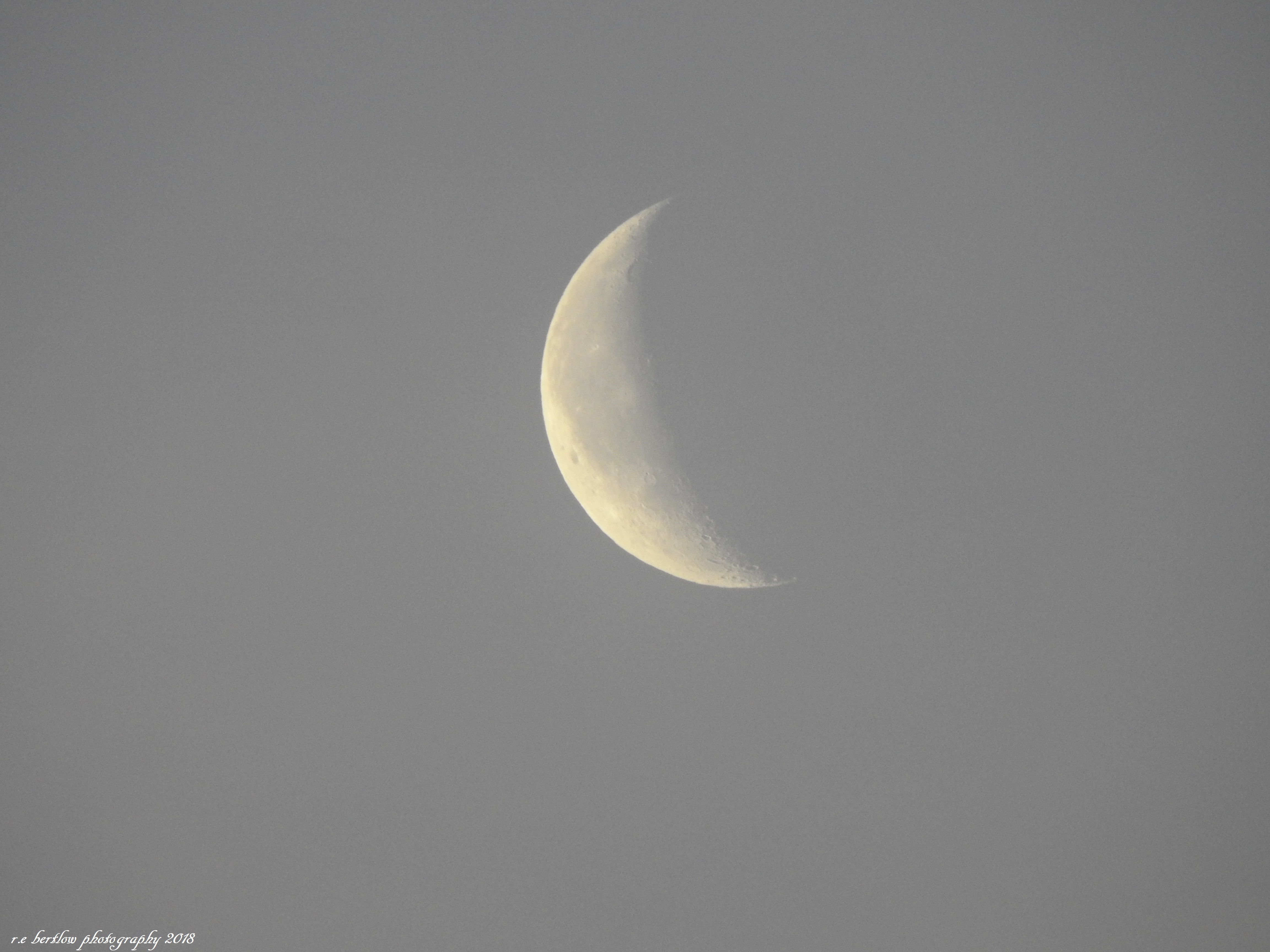 DSCN3982