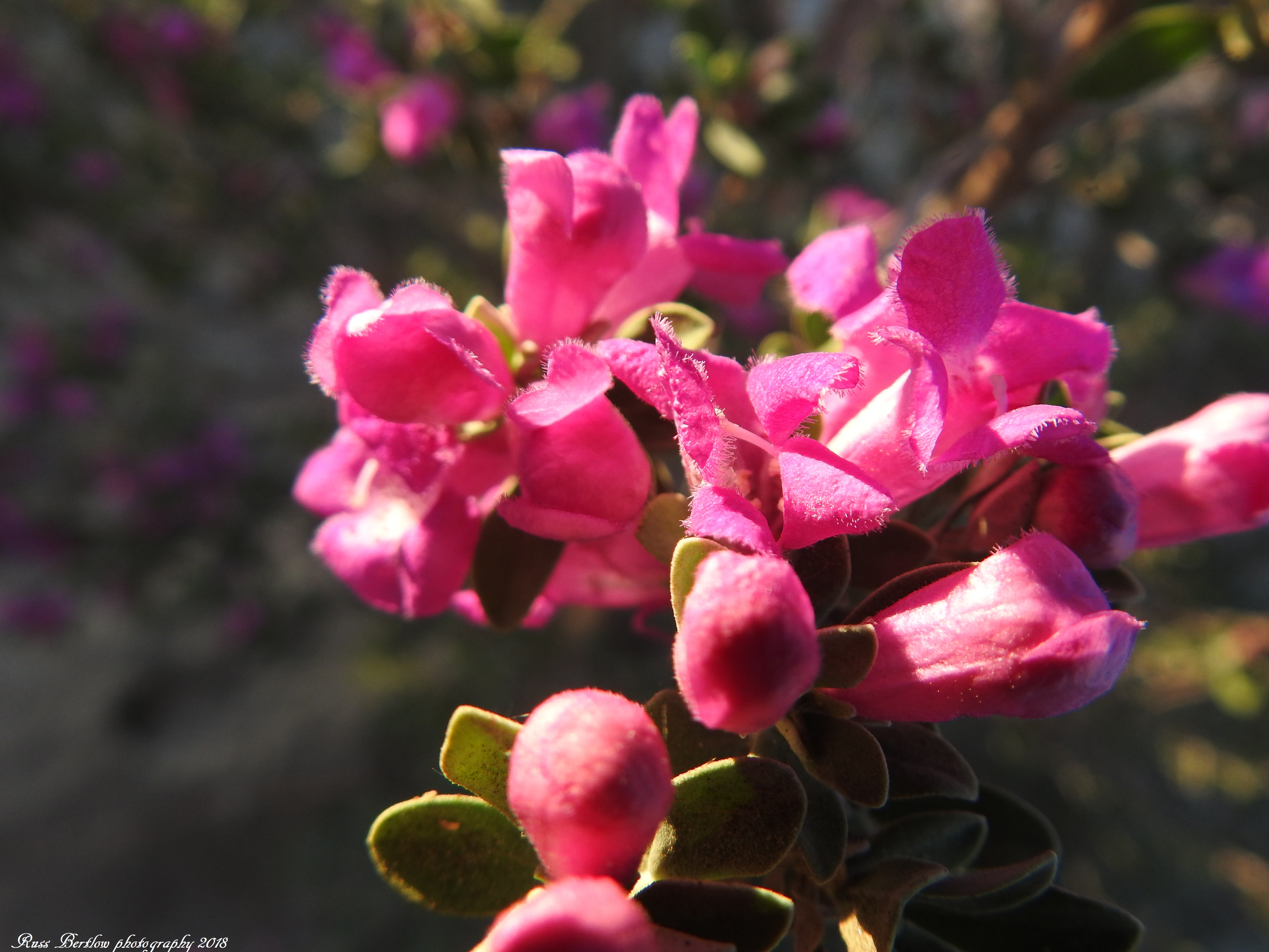 DSCN1228