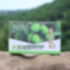 ｜活泉自然生態農場｜Olive橄欖精粹錠（含酵素）
