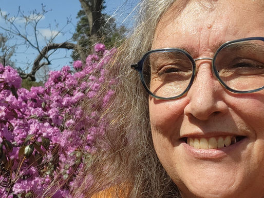 Metamorphosis GCA - Welcome