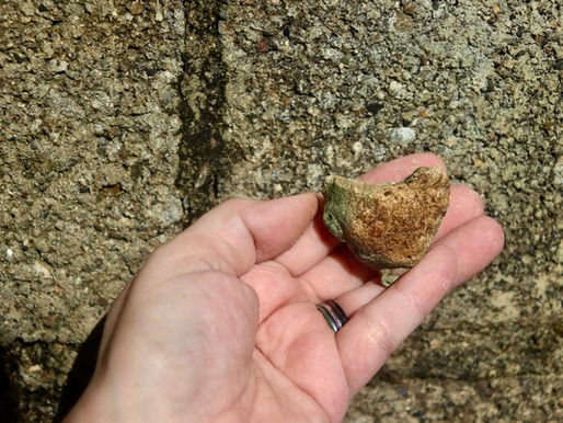 The Quiet Inheritance of Love