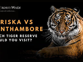 Sariska vs Ranthambore (2026): Which Tiger Reserve Should You Visit?
