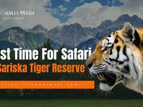 Best Time for Tiger Safari in Sariska Tiger Reserve